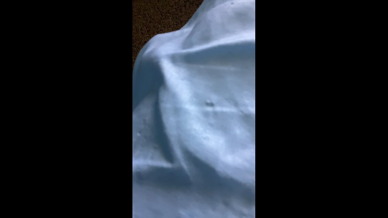 Oobly boobly