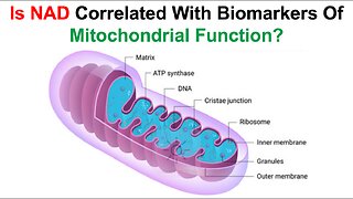 Is NAD Associated With Biomarkers Of Mitochondrial Function?
