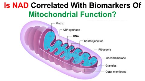 Is NAD Associated With Biomarkers Of Mitochondrial Function?
