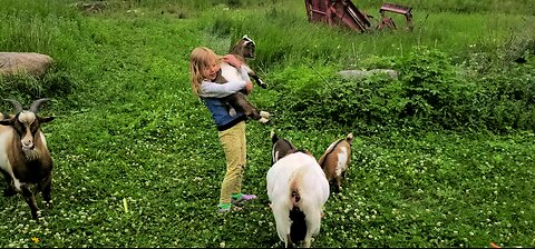 girls and goats 🐐