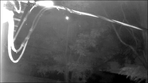 UFO spirits?