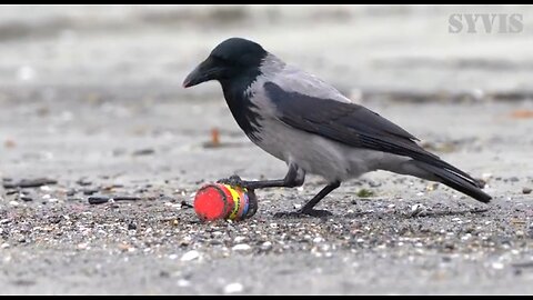 WHAT FASTING ADDS TO PRAYER - DAILY DEVOTIONAL ❤️