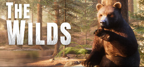 The Wilds V2