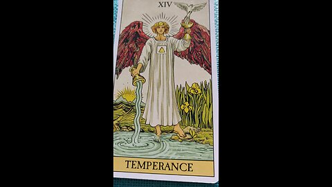 Have they finally woken up? #tarot #twinflamesunion #tarotreading #valeriesnaturaloracle