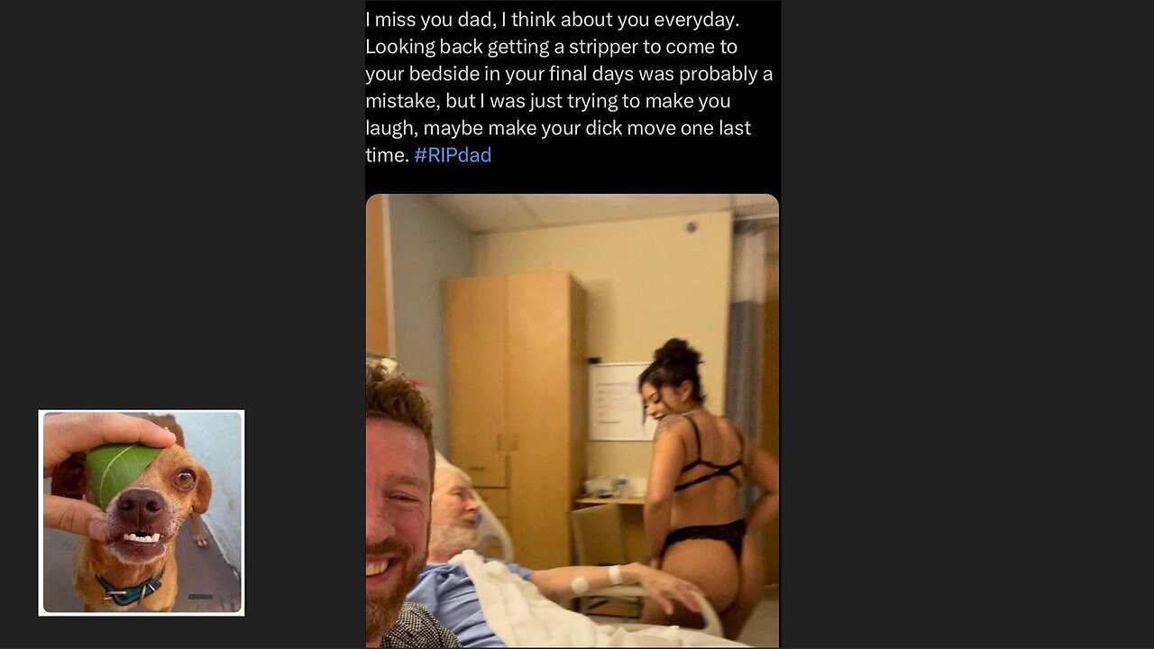 Meme compilation Episodes 236-240.