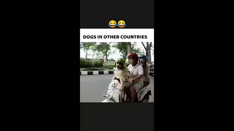 never underestimate of india's never underestimate india's genius 🤣🤣