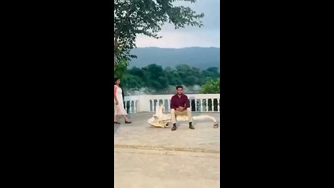 satisfying Video