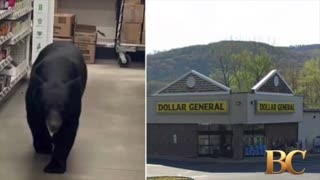 Bear attacks 90-year-old woman during rampage through Dollar General store