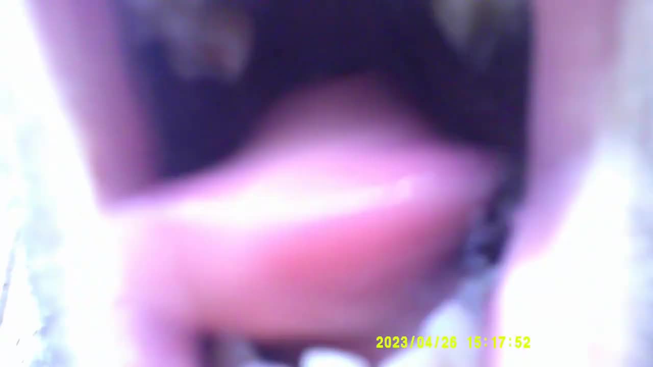 ANCORA MOLTISSIMA LEGNA DAL BOSCO (26 APRILE 2023) [VIII° PARTE]