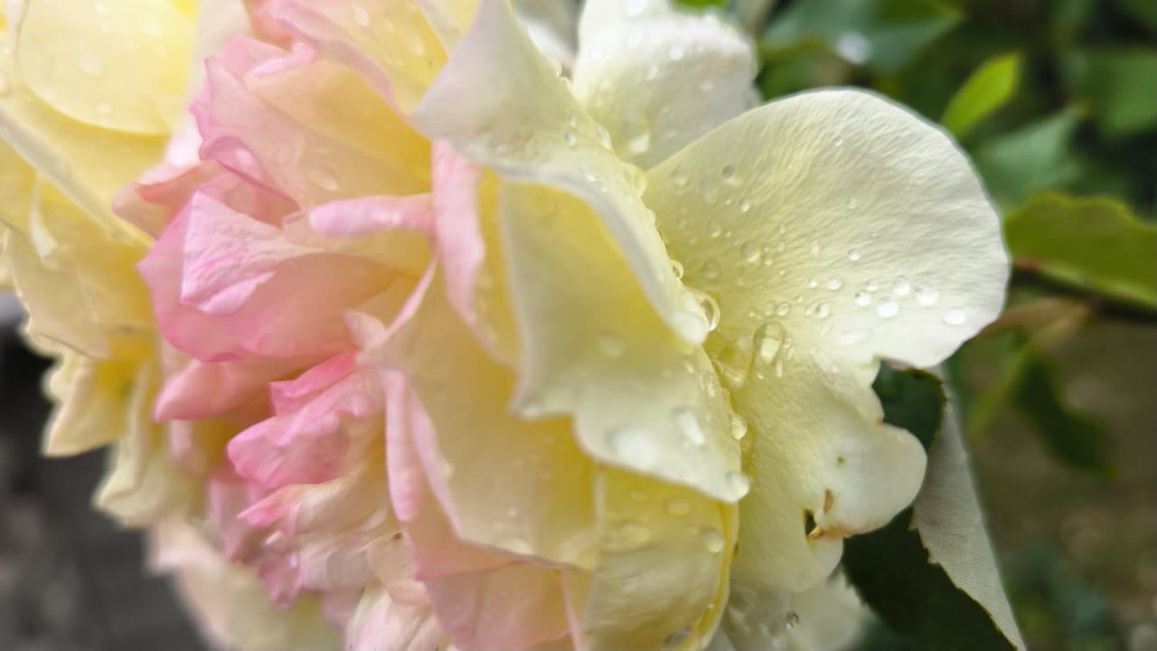 A Heart Of Gold Is Hard To Find - Benjamin Tod
