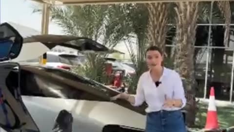 CHINA Flying Car