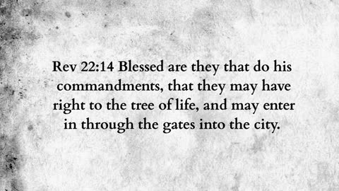 Martus Ministry -393- Two and the scroll
