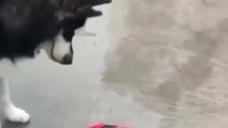 😂🤯 Never Try This at Home! | FunFM