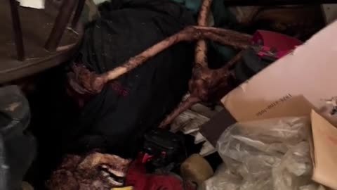 Guy finds a dead body in a abandoned house