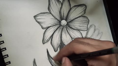 Flowers don't tell they show 🎨🖌️😊
