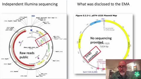 Kevin McKiernan | Presentation to NZ Commission on mRNA vax contamination of the blood supply