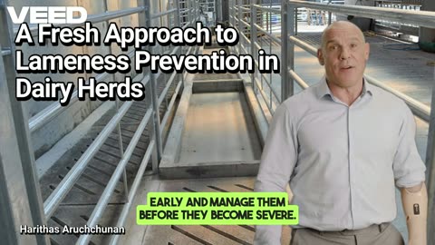 A Fresh Approach to Lameness Prevention in Dairy Herds
