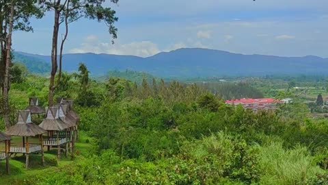 Surrounded by Green – A Peaceful Journey Through Nature's Lush Beauty