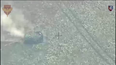 Dozens of Armored Vehicles and Infantry are Destroyed During Failed Assault on Ukrainian Lines