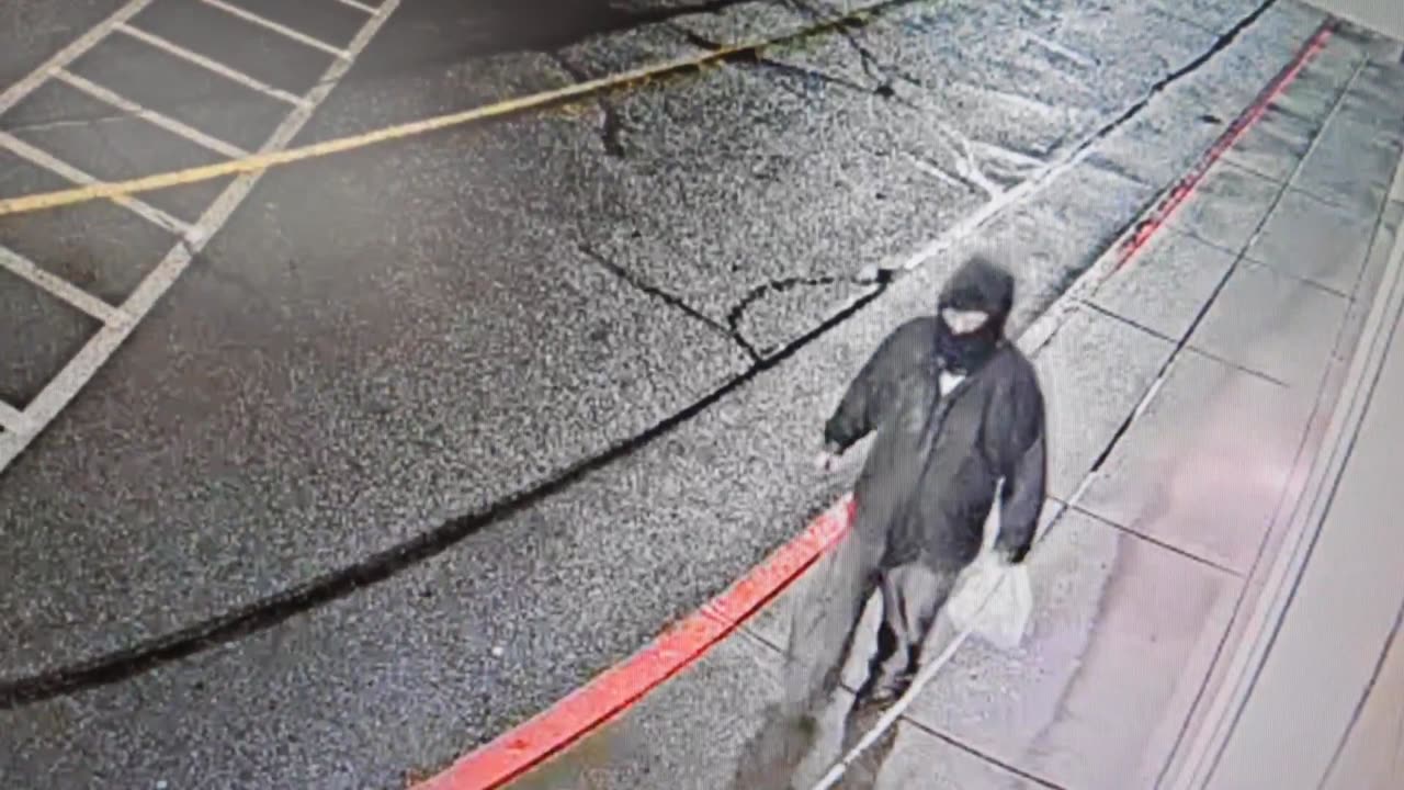 Tesla arsonist suspect for Apr 8 attack in Lacey WA, near Olympia (violent Antifa presence)