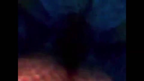 Finding Nemo Whale Darkness