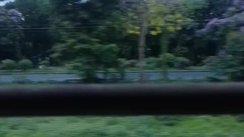 From the train🚂 window