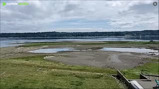Gray summer day