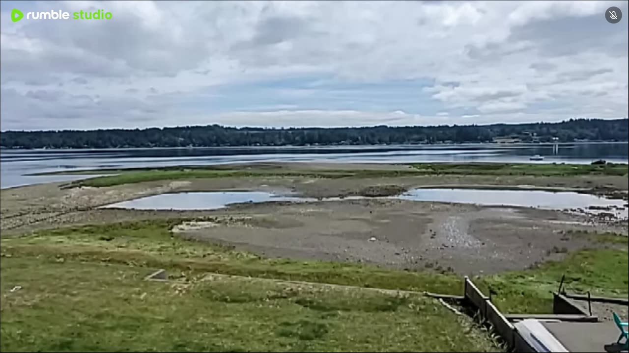 Gray summer day