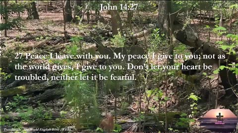 John 14:27