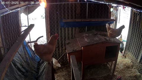 Sunday Morning In The Hut!