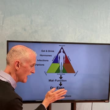 Stop Chasing Your Pain, Get to the Root Cause!