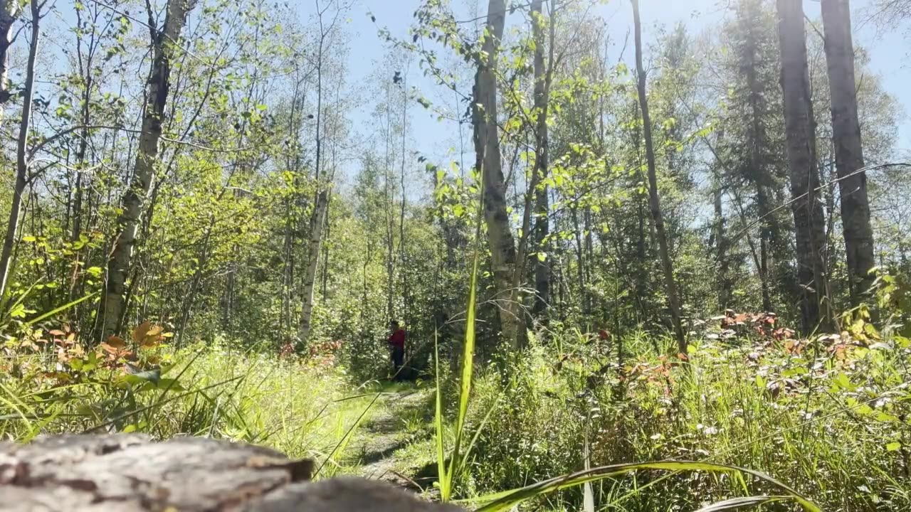 Border HEX 6BB2 and 7.5 sound test