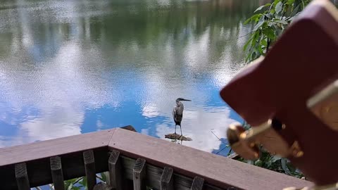 Audience of one...
