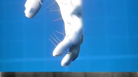 pin remove safety trending video popular video