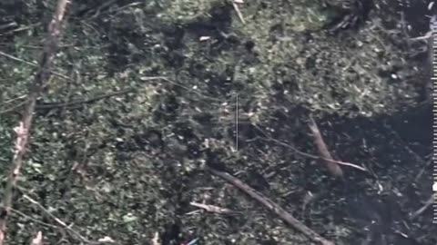 Ukraine war combat footage 7/8/25