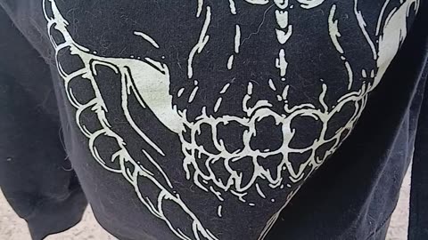 Is this a parasite drawn on a hoody ? Toxoplasmosis gondi ?