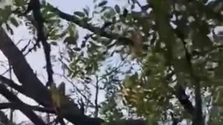 🛵💥 Ukraine Russia War | Russian Soldier's Fatal Motorcycle Assault in Sumy Region | RCF