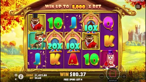 I Spent Huge on Super Bonuses and THIS Happened On Dog House!?