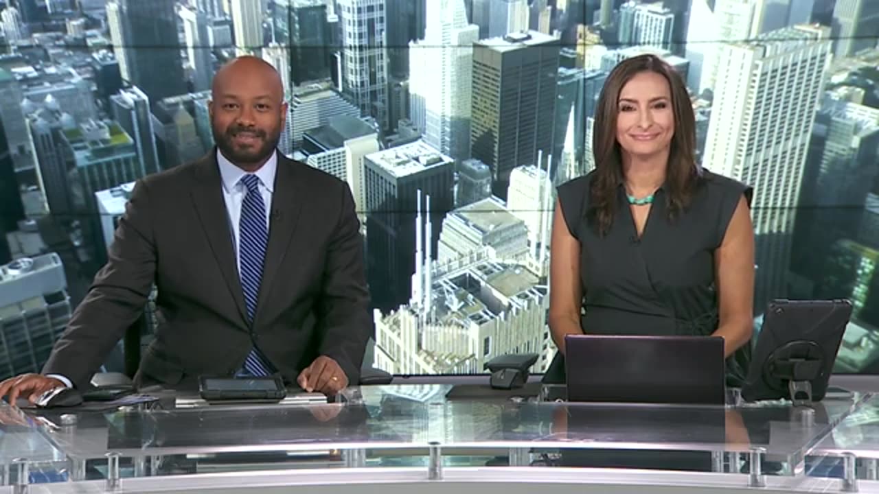 Weekend Break: ‘Must-See Tour’ at the Shedd Aquarium