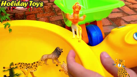 Parakeets Chirp to Entertain Bathing Animals