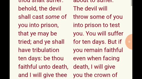 Never was never will be(the small hats