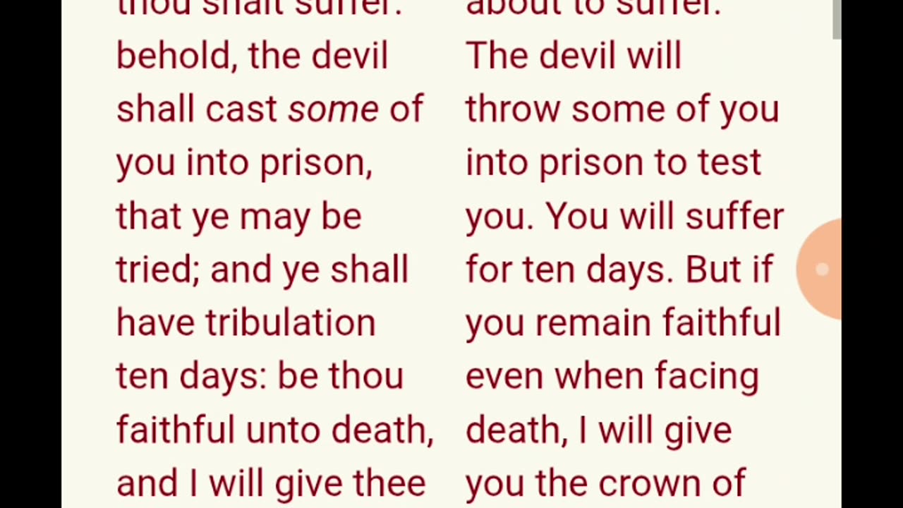 Never was never will be(the small hats