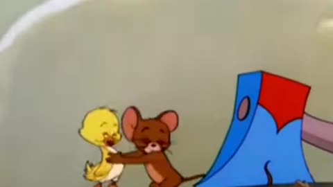 Tom cartoon funny