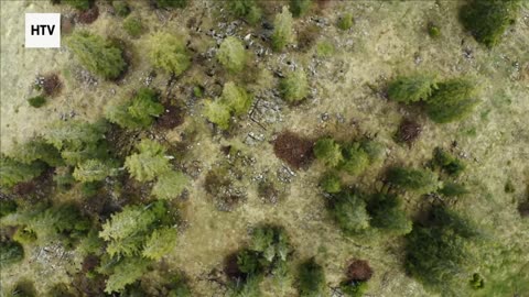 Escape Into the Hidden Corners of the World