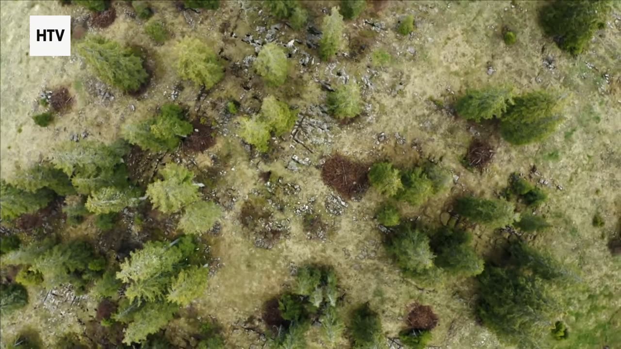 Escape Into the Hidden Corners of the World