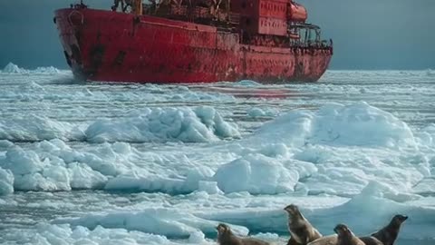 Atlantic Ocean ice glacier a big ship is anchoring while the ocean water is