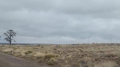 Shia, video recorded 3:40 PM Nov 23, '25 by Alyssa