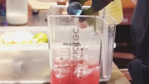 Professional 800 Blender | WildSide+ 90oz Jar | Quiet & Powerful Smoothie Machine