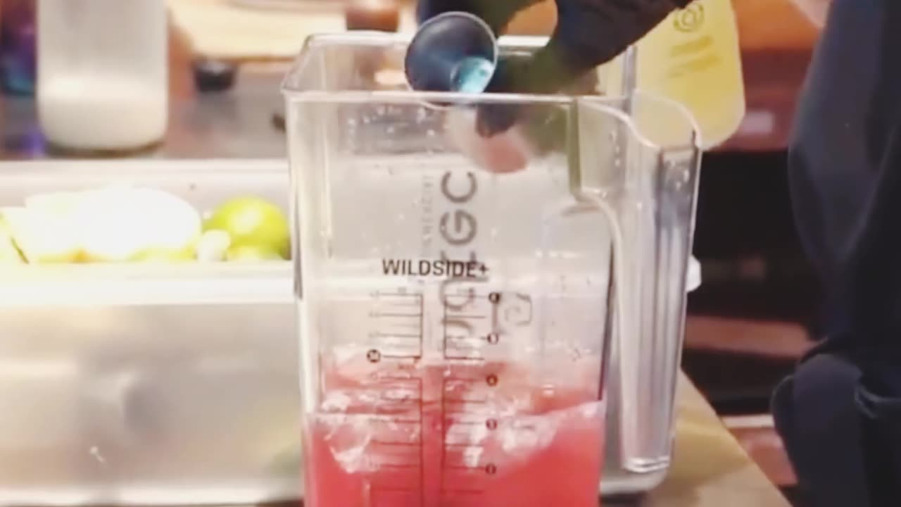 Professional 800 Blender | WildSide+ 90oz Jar | Quiet & Powerful Smoothie Machine