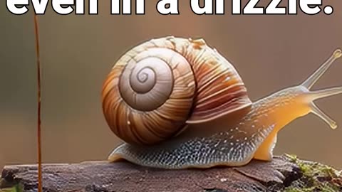 Nature always finds balance — even in a drizzle #meditationaid #anxiety #relaxing #meditationmusic